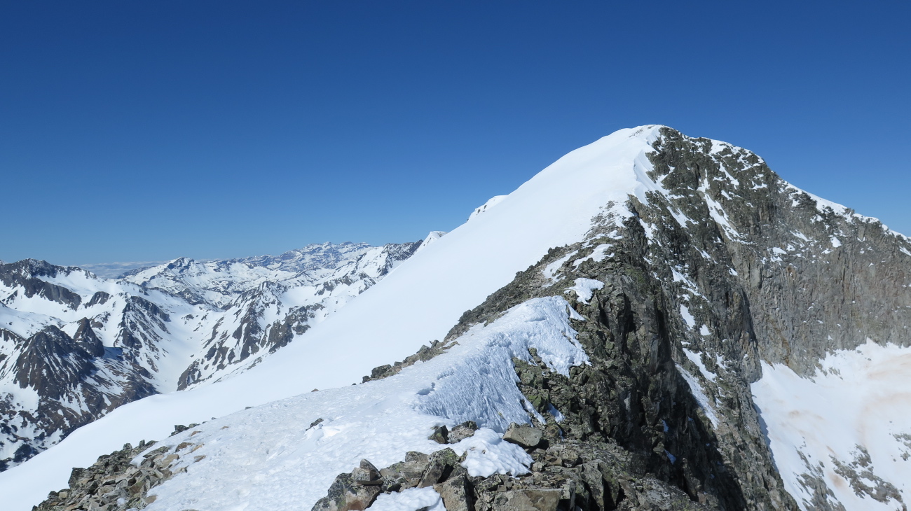 Perdiguère - 16