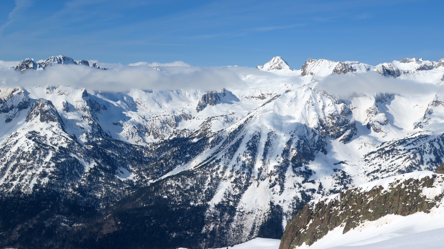 Perdiguere - 29