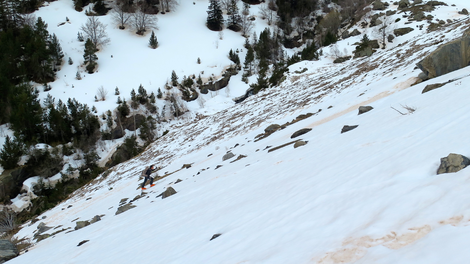 Perdiguere - 03