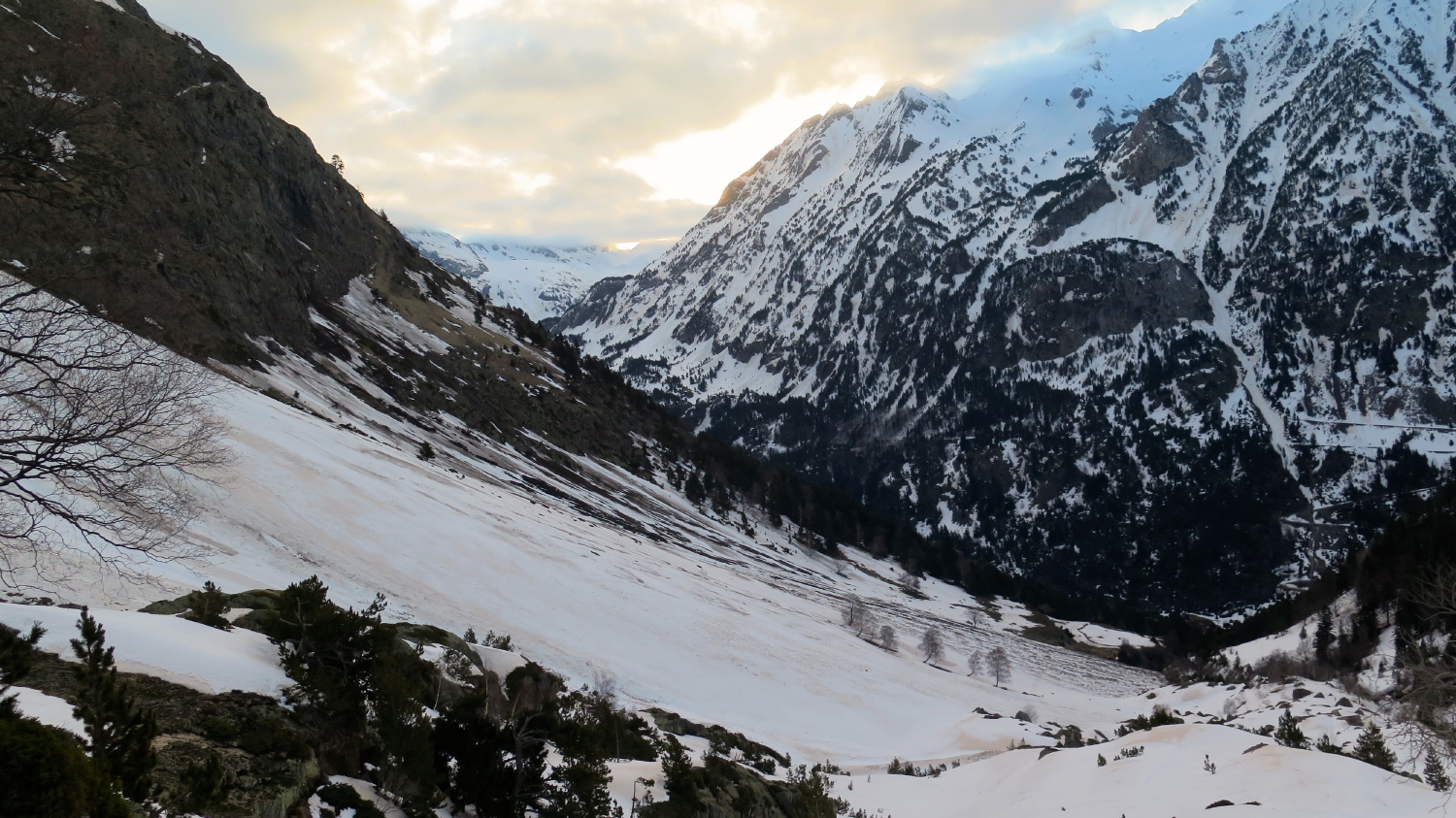 Perdiguere - 04