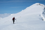 Perdiguere - 39