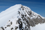 Perdiguere - 41