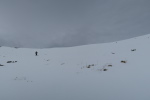 IMG_1985