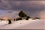 Pic Long - 04