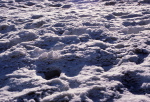 Pic Nègre - 2