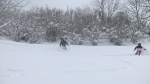 IMG_0095
