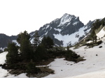 Pic Long - 01