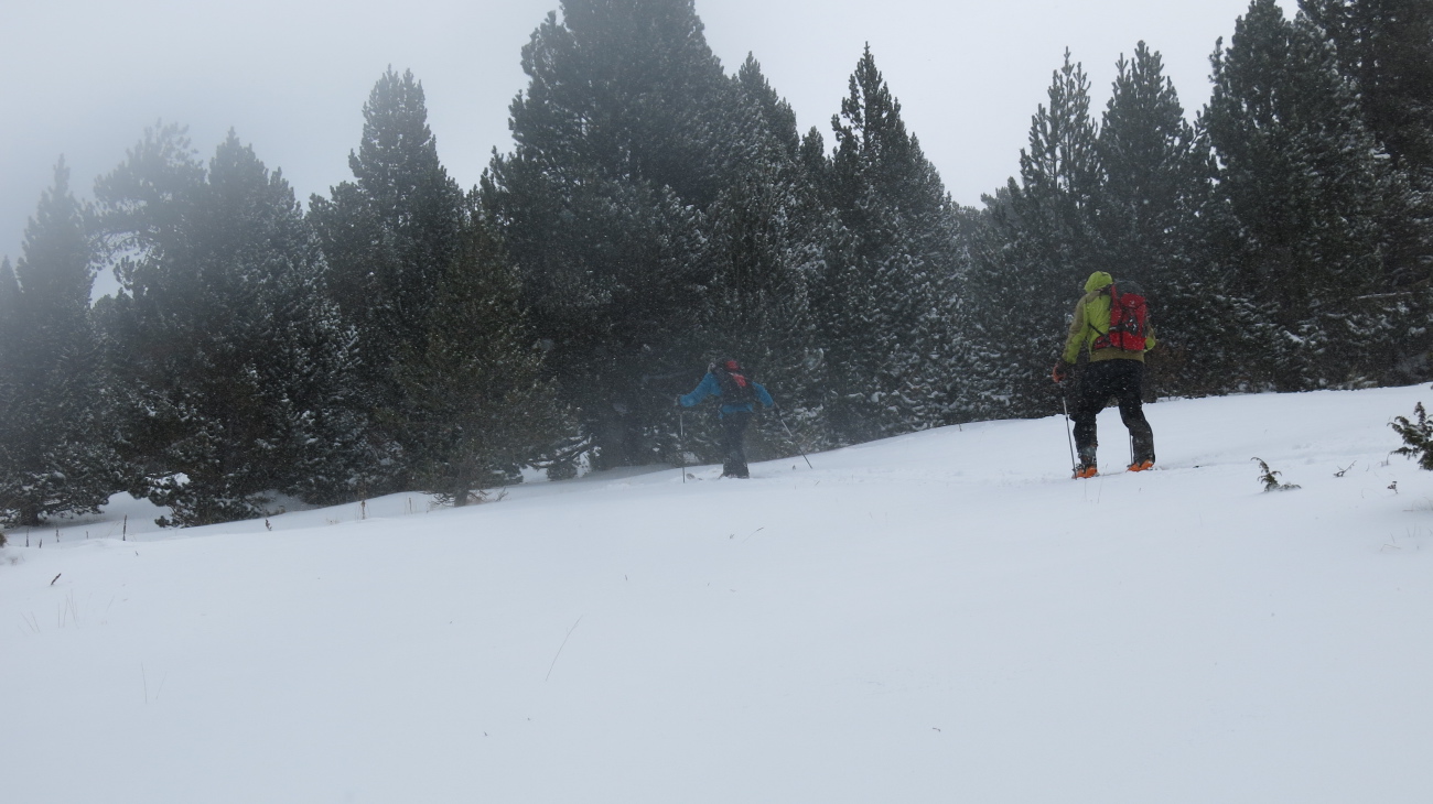 Port Envalira - 17