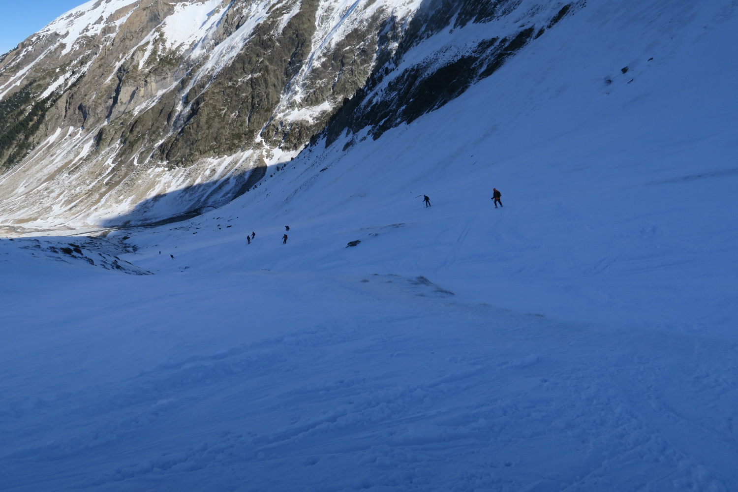 Aiguillette - 22