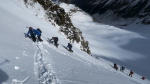 Aiguillette - 11