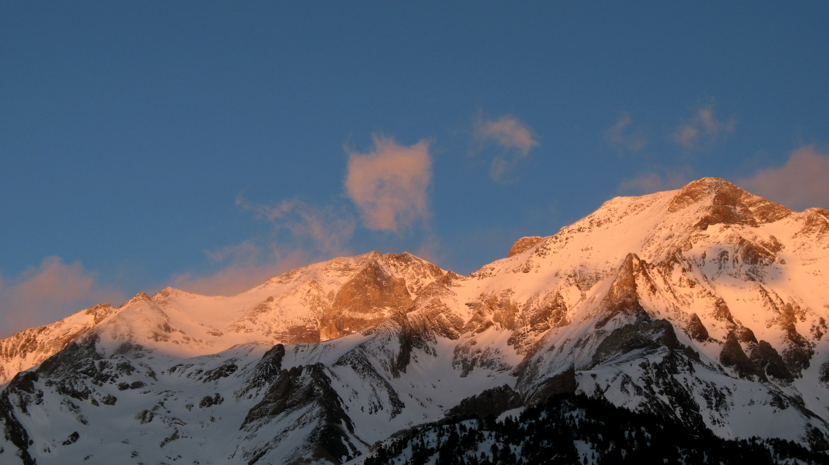 Posets - 11