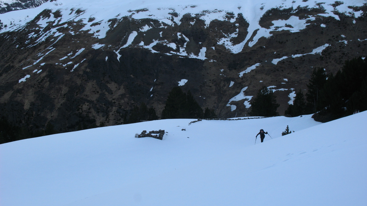 Posets - 16