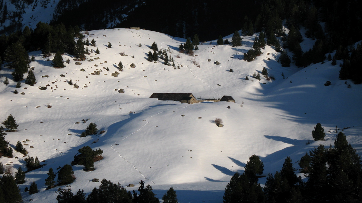 Posets - 09