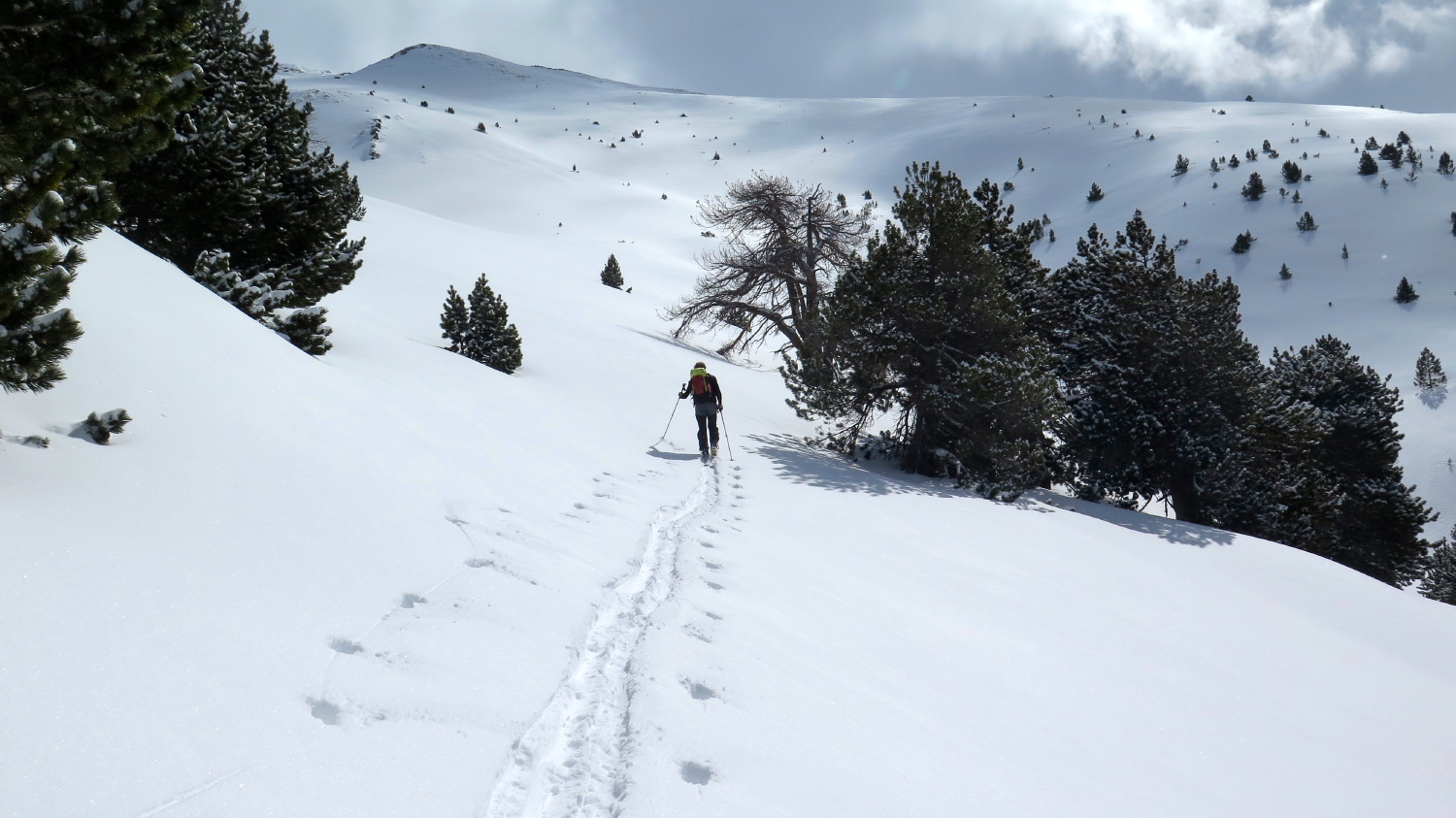 Pt Puigmal de Sègre - 13