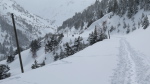 Puigmal - 08