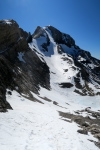 Pineta - 18