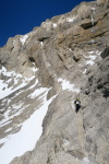 Pineta - 19