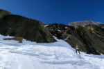 Pineta - 40