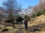 Pineta - 81
