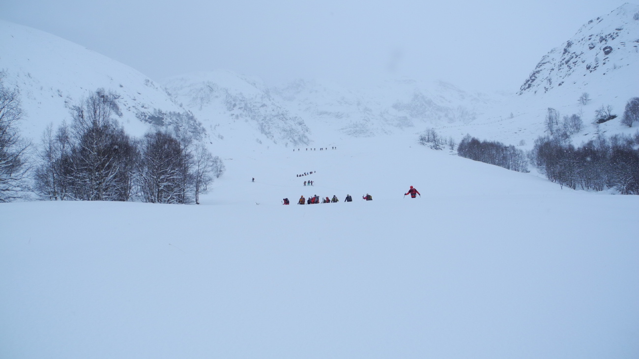 DSCN0906