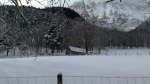 Roc_de_l'An_mil-Pichaloup - 10