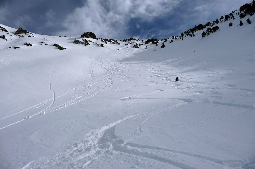 SNTT 2009 - 12