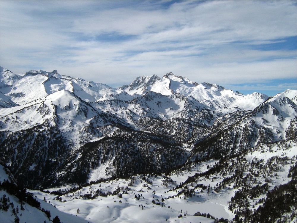 SNTT 2009 - 05