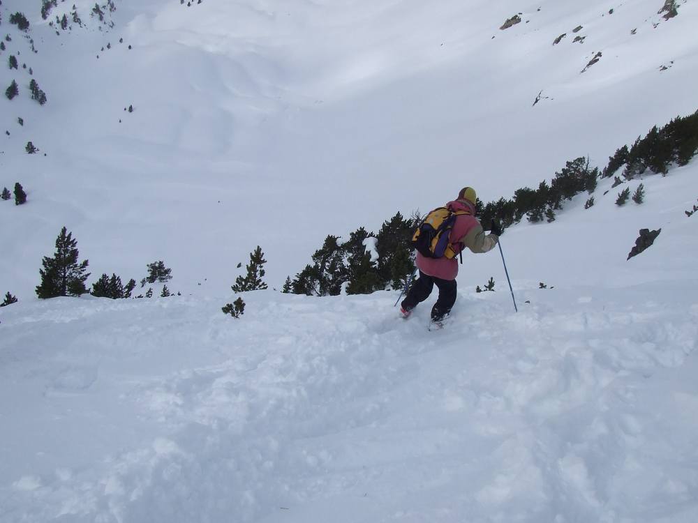 SNTT 2009 - 56