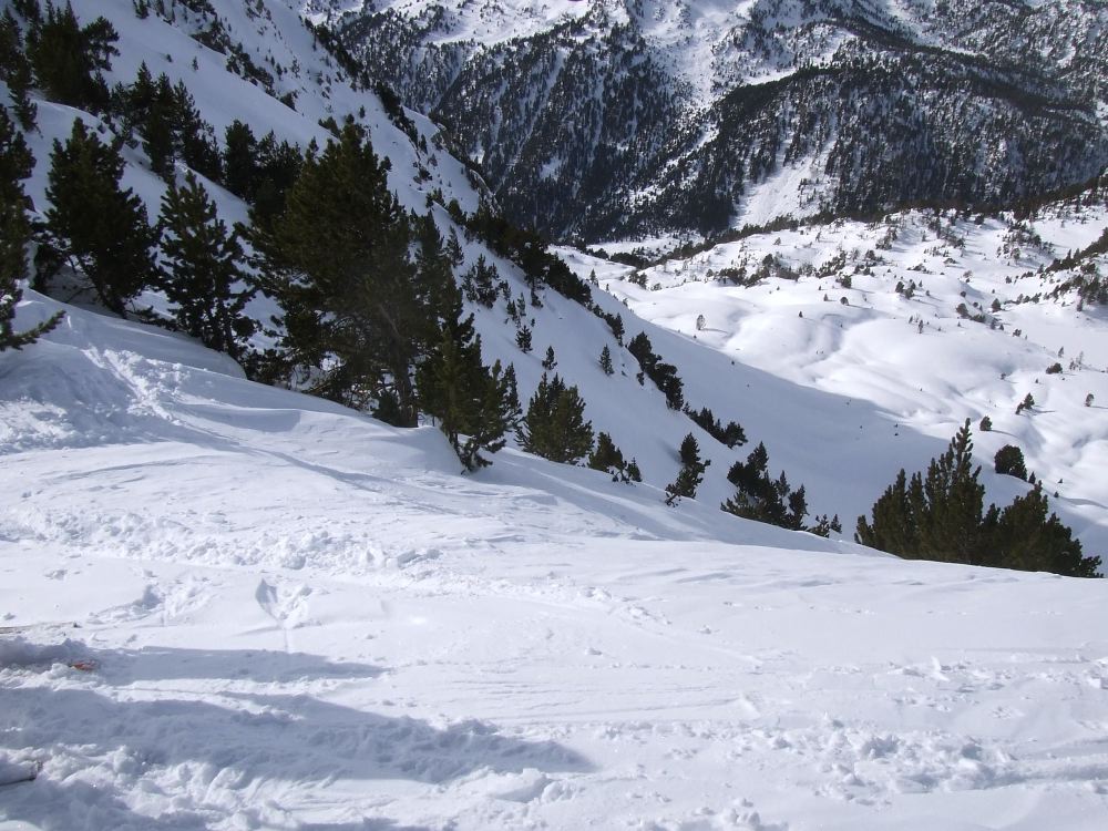 SNTT 2009 - 06