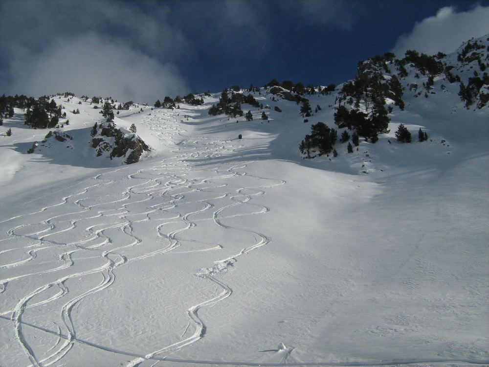 SNTT 2009 - 65