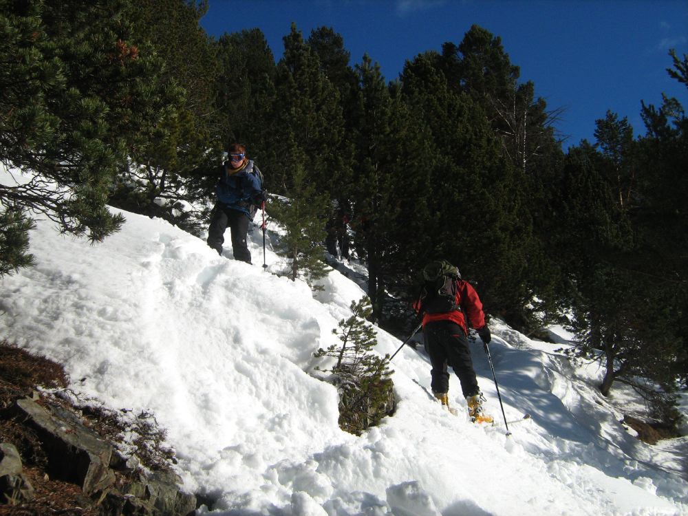 SNTT 2009 - 76