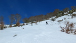Stbart. - 21