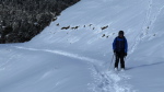 Skitoutesneige2015 - 23