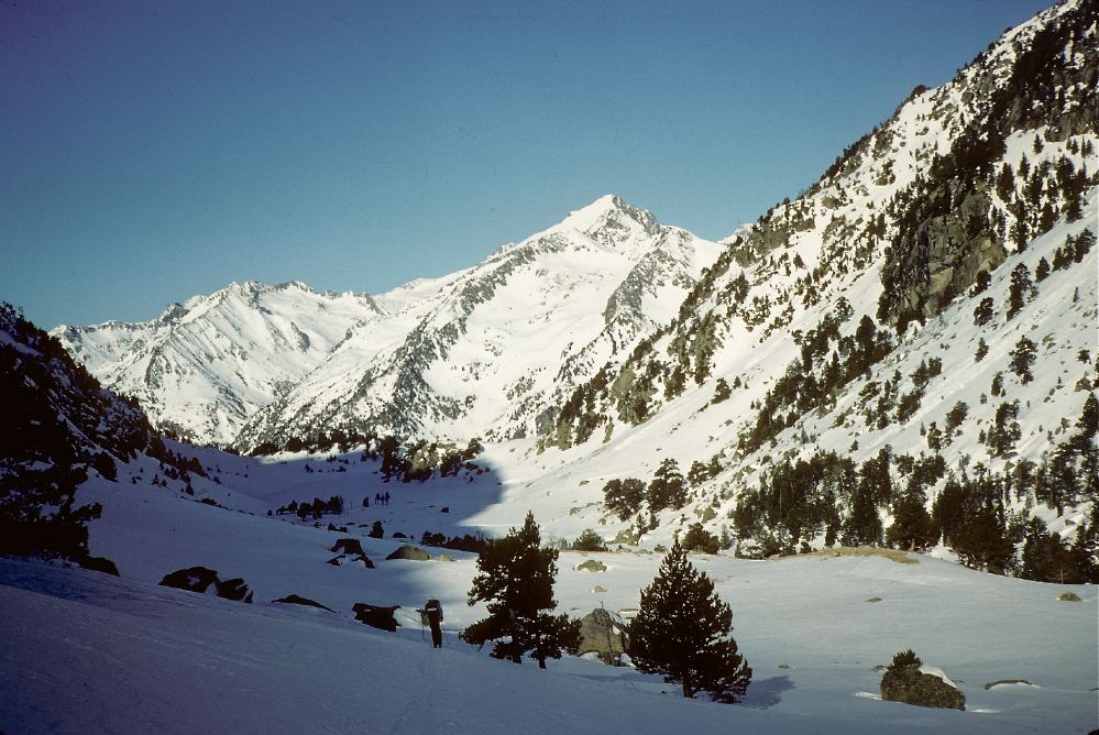 Tossal Moller Gran - 1