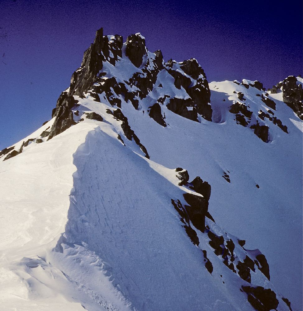 Tossal Moller Gran - 7