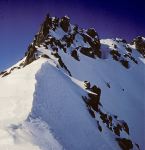 Tossal Moller Gran - 7