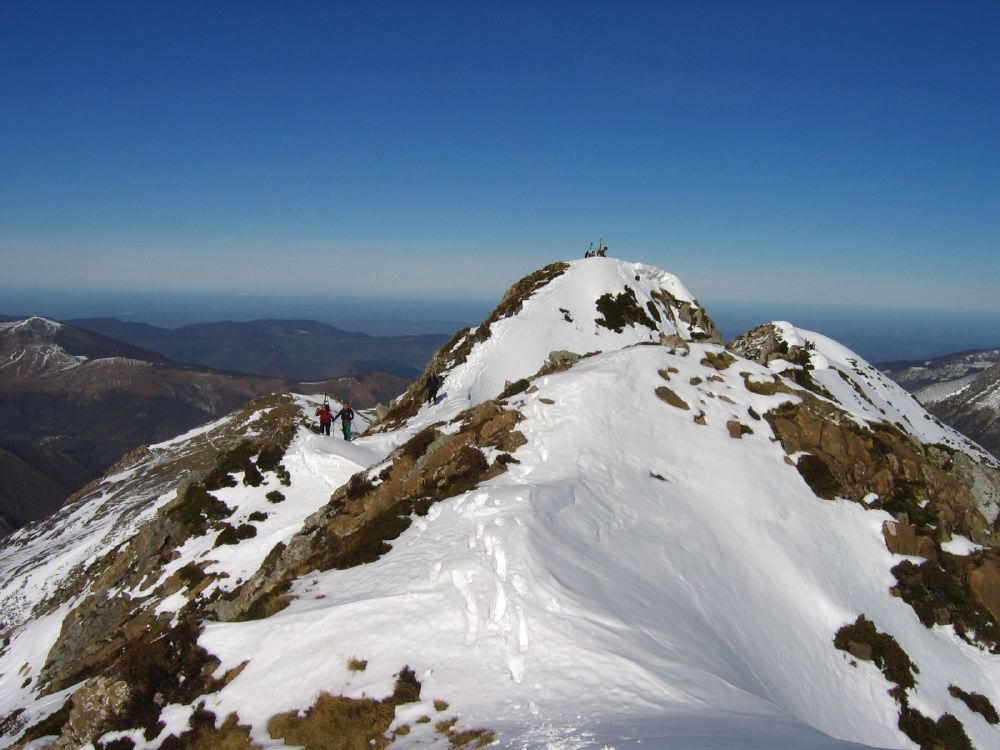 Pourtillou - 18