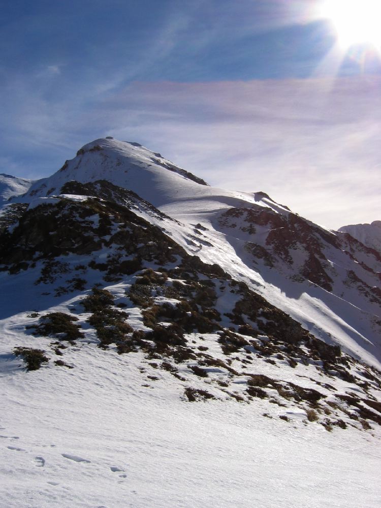 Pourtillou - 22