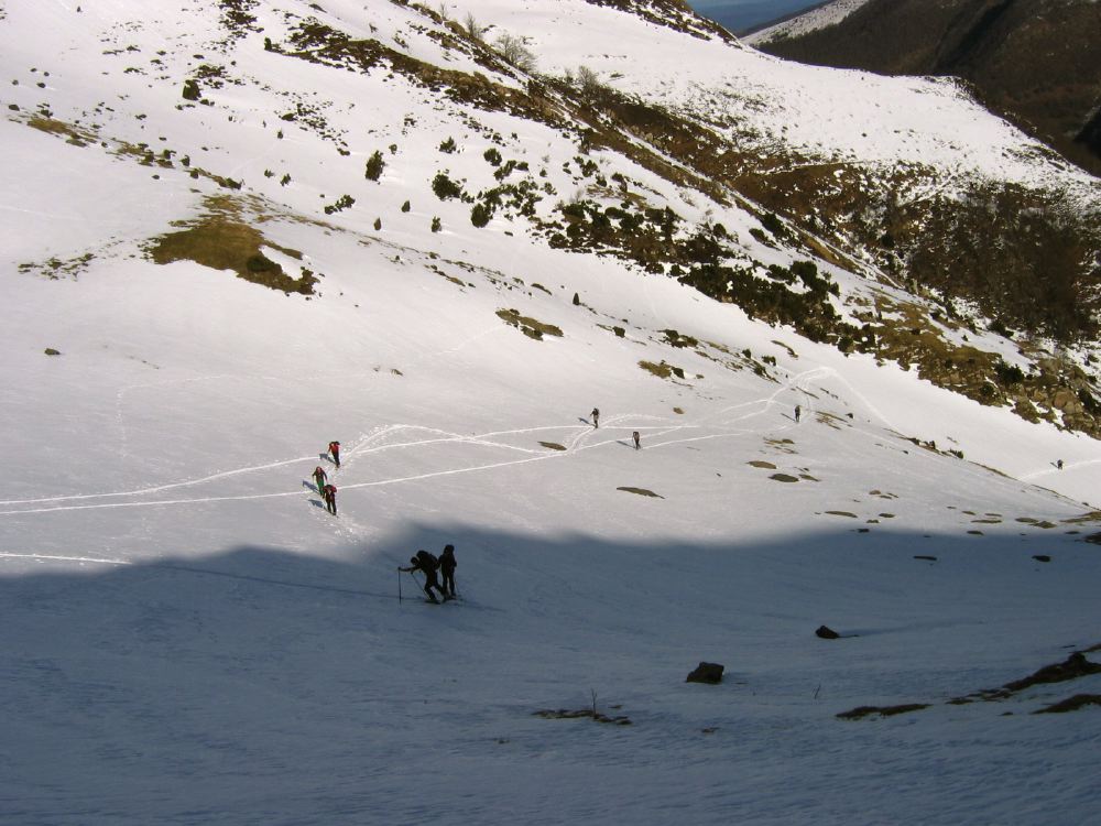 Pourtillou - 05