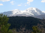 Sacroux - 66
