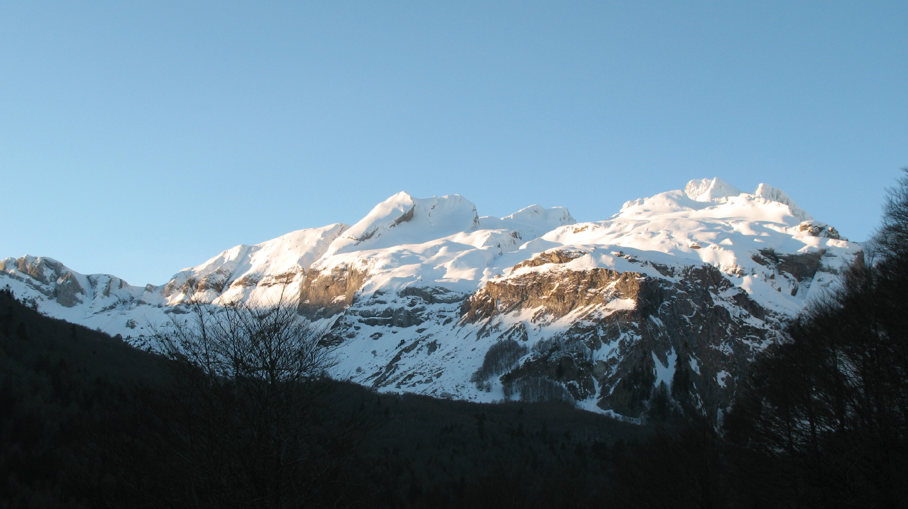 Visaurin - 02