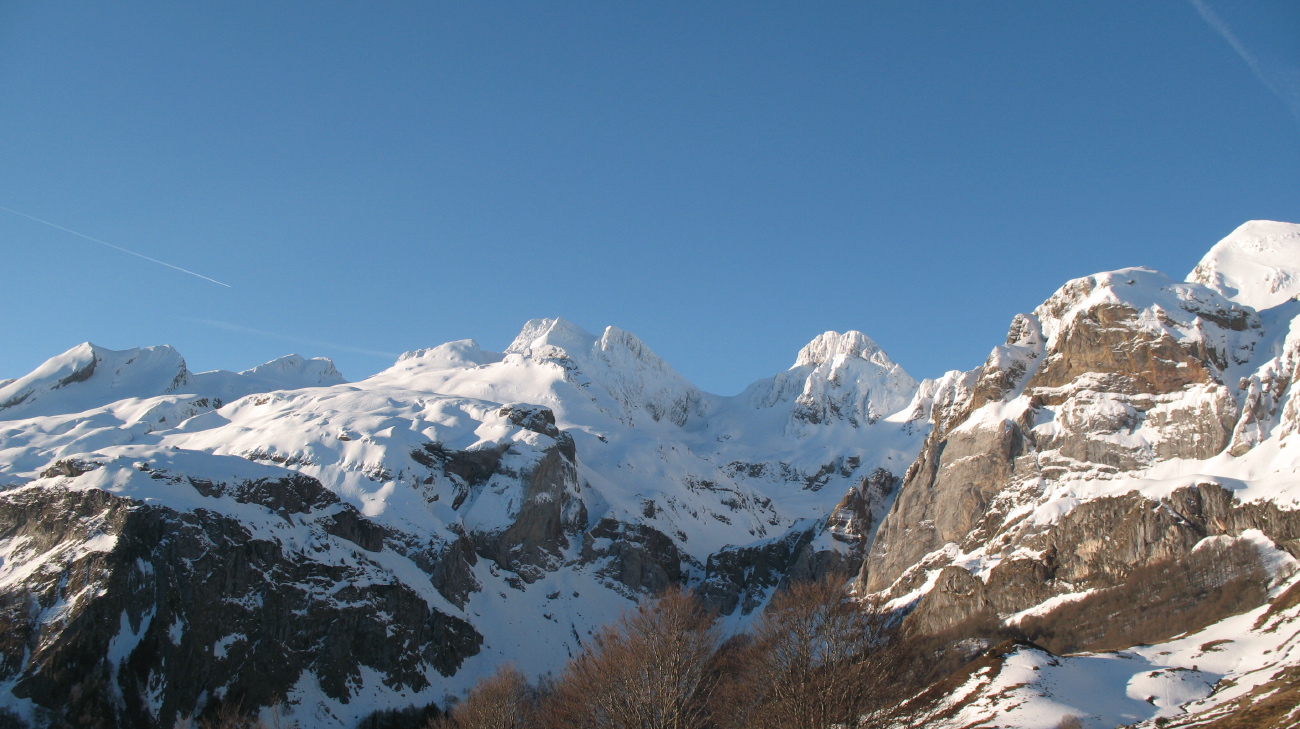 Visaurin - 05