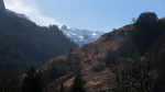 Visaurin - 79