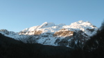 Visaurin - 02