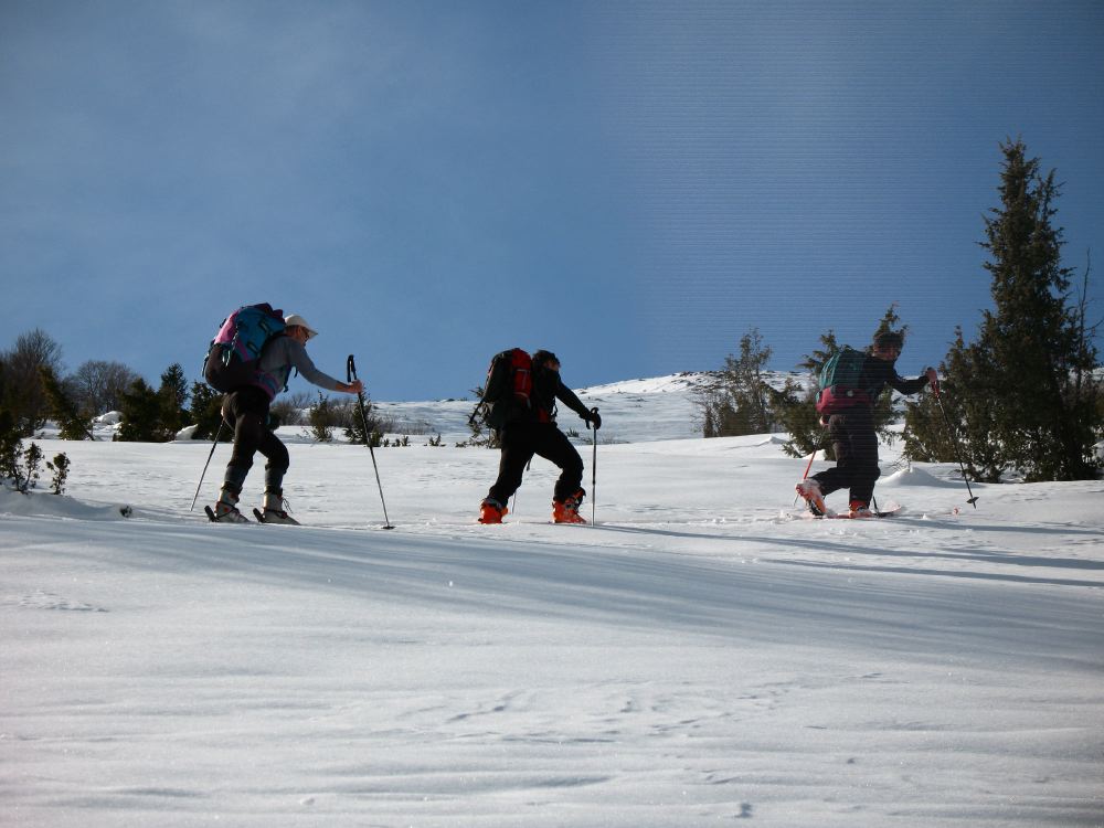 Pic de l'Har - 10