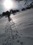 Pic de l'Har - 09