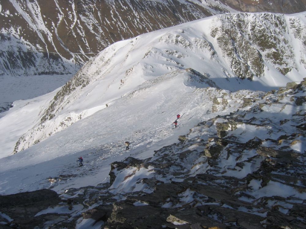Aiguillette - 06