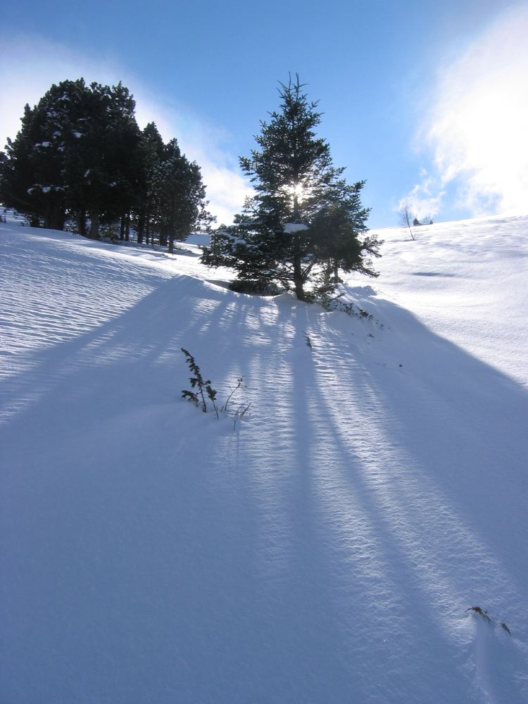 Pic de l'Har - 06