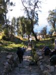 Bolivie 1  - 54