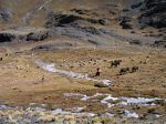 Bolivie 2 - 8
